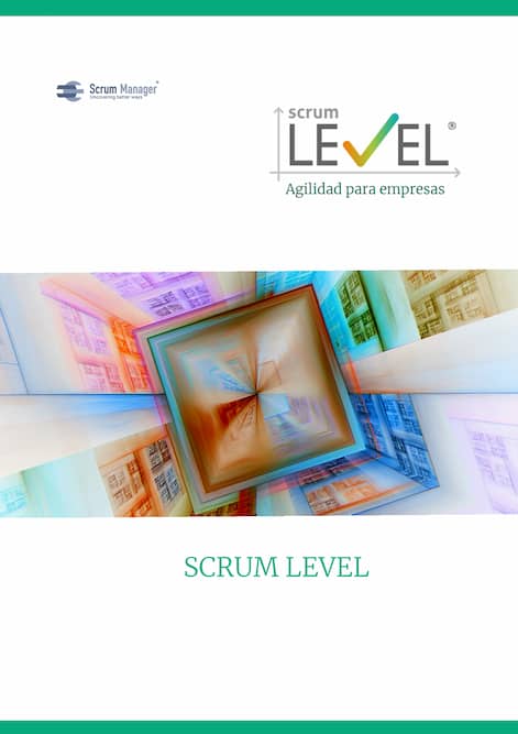 Scrum Level